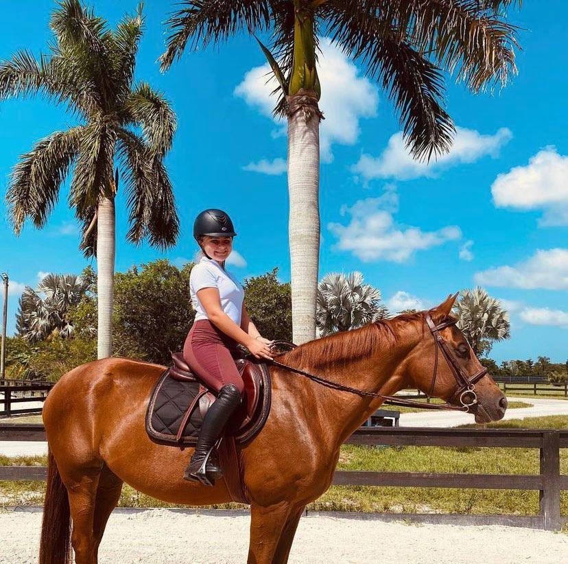 A rider on a chestnut horse under the palms