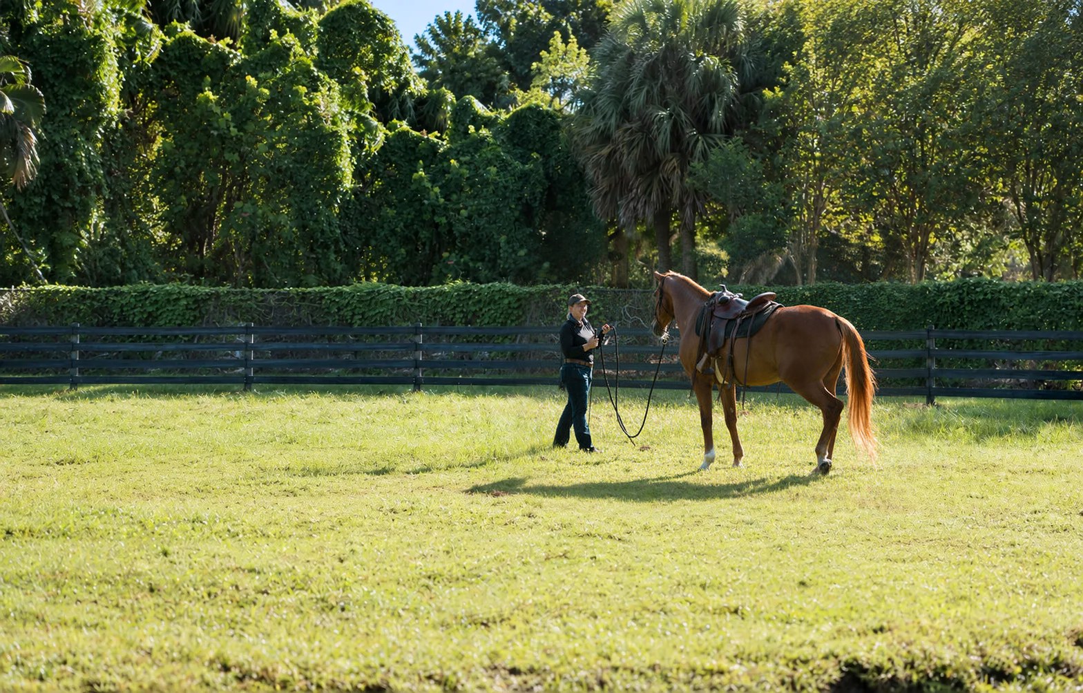 Erin working with a saddled chestnut horse in the pasture