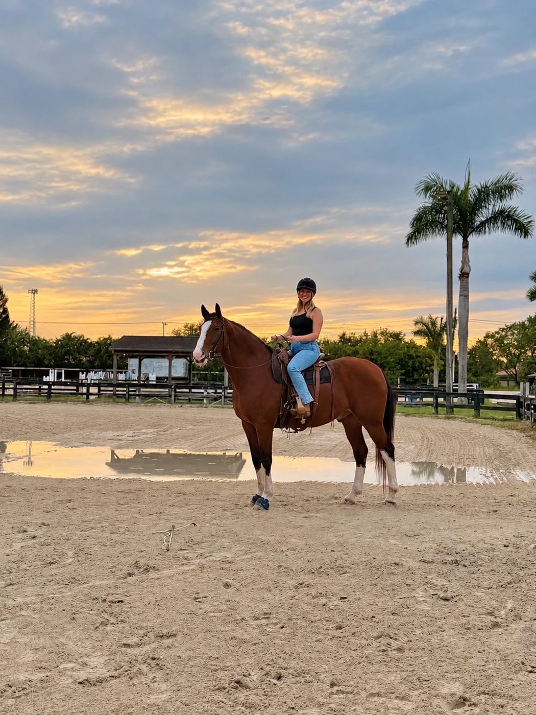 A rider on a bay horse in the arena at sunset