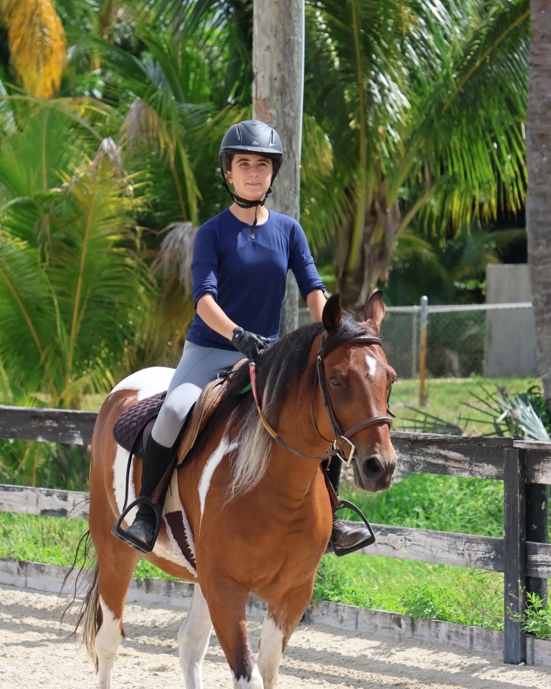 A rider in navy on a bay paint horse