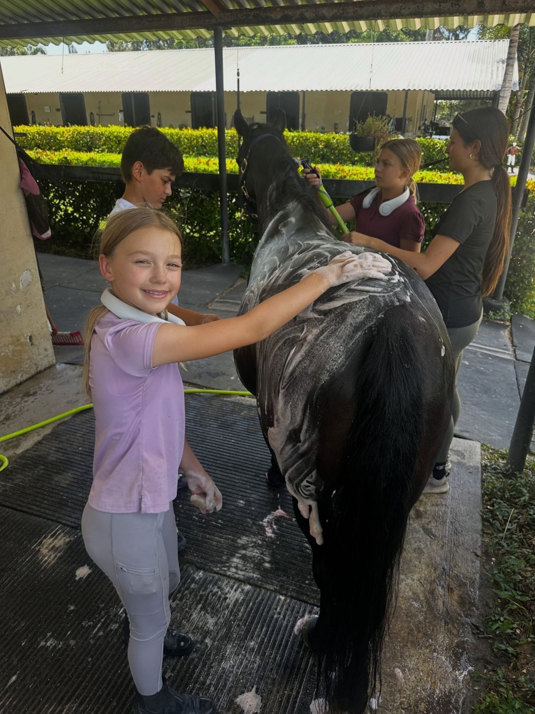 A smiling camper giving a horse a bubble bath