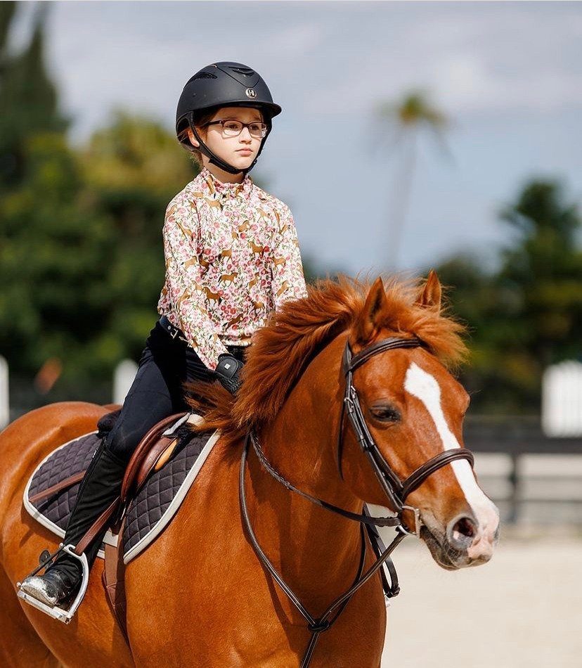A young rider in a horse-print shirt on a chestnut pony