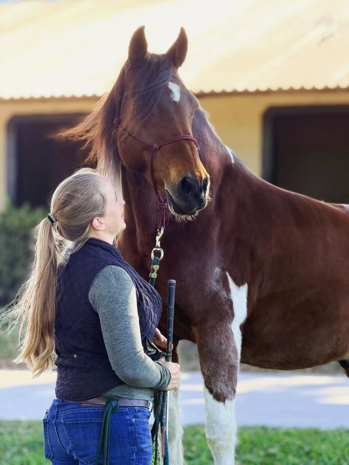 Erin sharing a quiet moment with a bay paint horse
